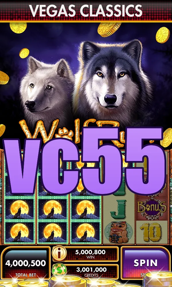 vc55 Akses