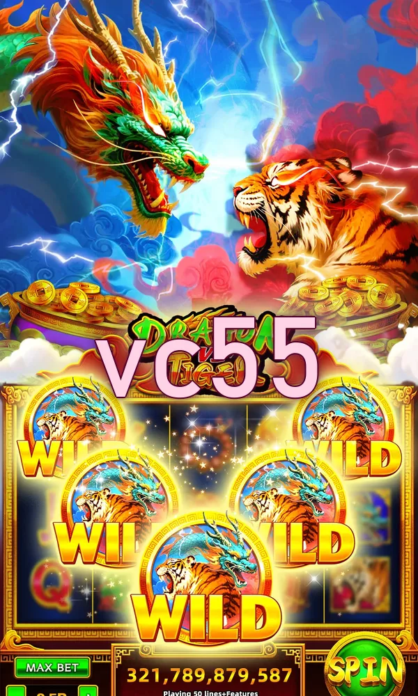 vc55 Akses