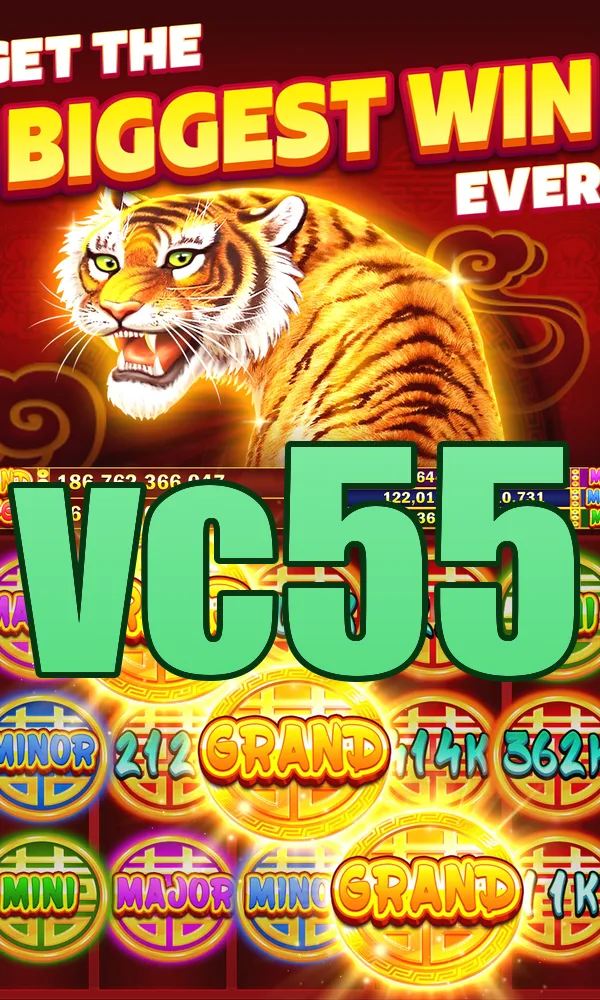 vc55 Tangkapan Layar 3